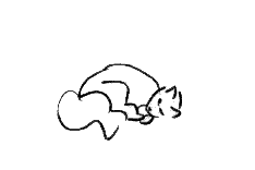 stretchy cat